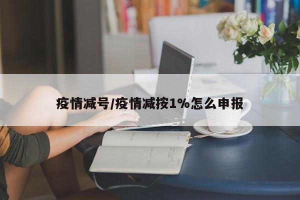 疫情减号/疫情减按1%怎么申报